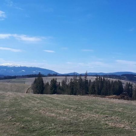 Przytulny Apartamentt Jablonka  Exterior foto